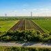 Glina, DC3, oportunitate investitie, teren platforma logistica, depozitare